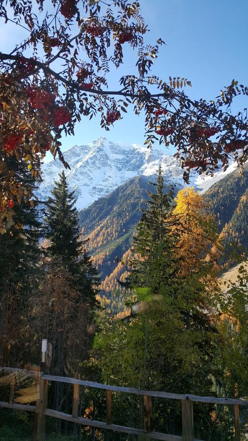 Gasthof Waldruhe Solda Kültér fotó